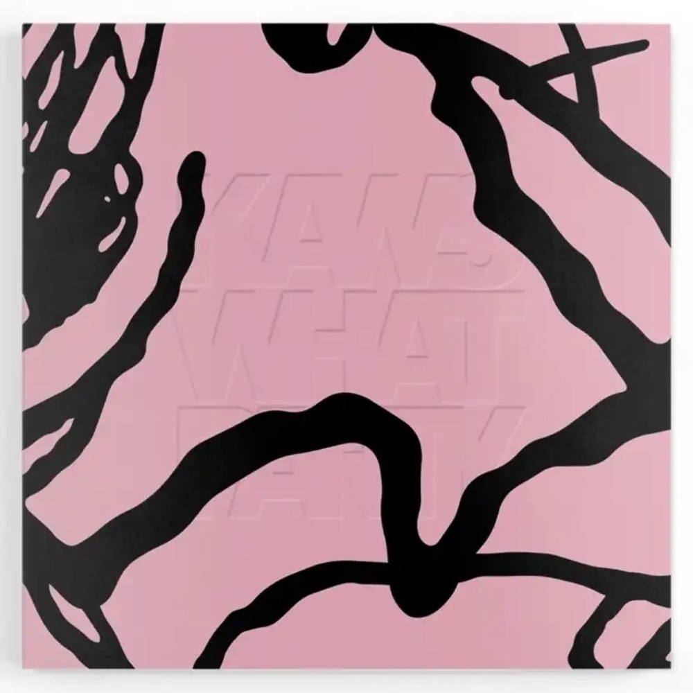 Kaws What Party Soft Cover Book